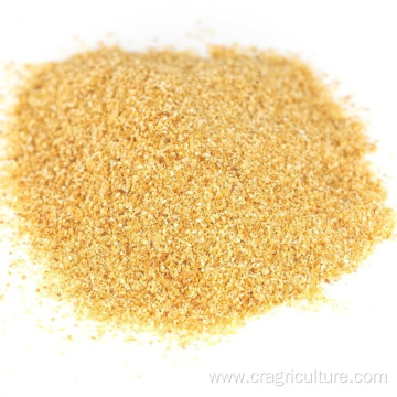 Dehydrated Best Withoutroot Garlic Granules Bulk